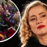 Amber Heard Vermögen