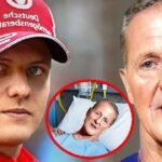 michael schumacher rollstuhl garten