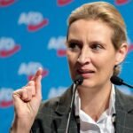 alice weidel ohr