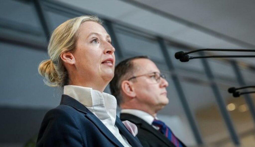 alice weidel ohr